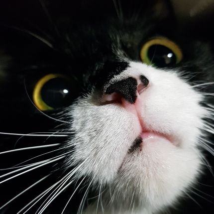 EnEn3612's profile picture. 