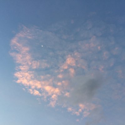 Maplejamm's profile picture. 