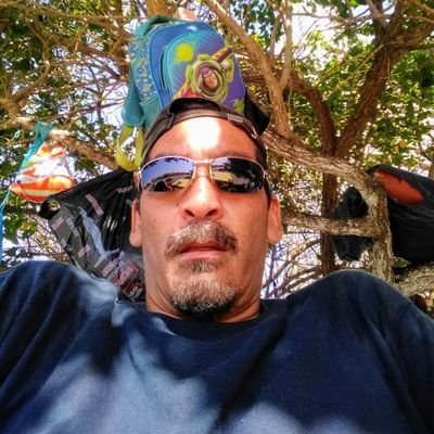 whernilrafael92's profile picture. Capacitaciones diarias