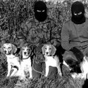 catatonicyouths's avatar