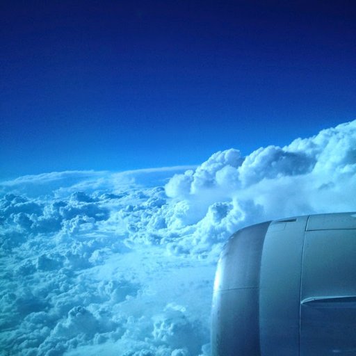 fithack0509's profile picture. Ingress Resistance Pokemon GO Blue G+難民