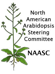 Account is run by the North American Arabidopsis Steering Committee (NAASC)’s Diversity Equity & Inclusion Leadership Committee; Re/Tweets by Executive Director