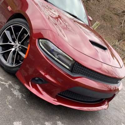 JeremyPraley's profile picture. 