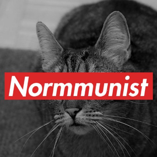 Normmunist Party 𝕏 Profile