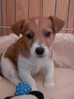 ecology_7's profile picture. 三浦大知, Mhiro, APOLLO & 米津玄師♥️