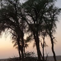 عبدالرحمن السكيتي (@abady08) 's Twitter Profile Photo