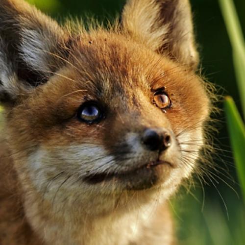 ca1r0776's profile picture. 