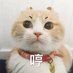 Johnson (@johnson07153212) Twitter profile photo Johnson (@johnson07153212) Twitter profile photo