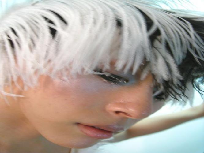 butouhashijinma's profile picture. 三宮のショーハウスでポールショーやったり、色んなイベントで踊ってます！
気になる方は仲良くなってね！