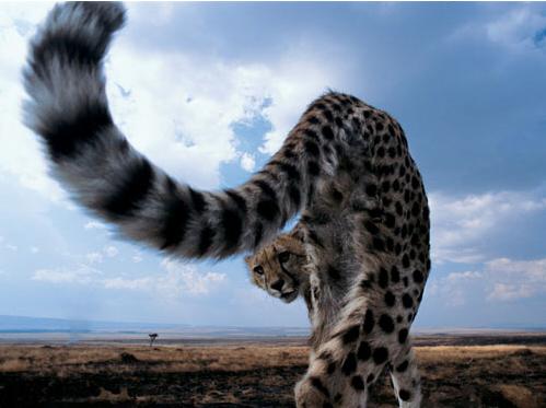 checkmate35's profile picture. 언제나 커리어 방황중인 낡은 직장인/멘탈은 비교적 튼튼/언젠가 우슈아이아에 가서 I'm a king of the world! 를 외치고 싶은 병맛나는 꿈이 있음/올라운드 씹덕/걍 일기쓰는 트위터 생각은 없지만 극우는 싫어함