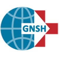 GNSH (@globalsimnet) 's Twitter Profile