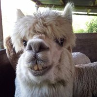 Coley (@coleyblue) 's Twitter Profile Photo Coley (@coleyblue) 's Twitter Profile Photo