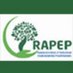 RAPEP🇷🇼 (@rapep19) Twitter profile photo RAPEP🇷🇼 (@rapep19) Twitter profile photo