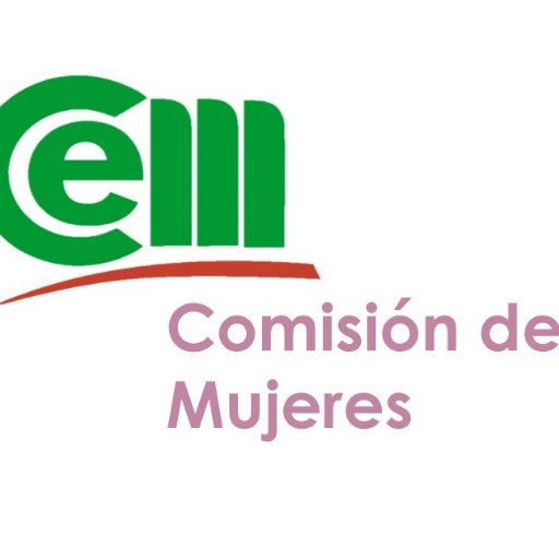 Comisión de Mujeres Empresarias y Emprendedoras de la Confederación Económica de Misiones @cemisiones @redcame @camemujeres