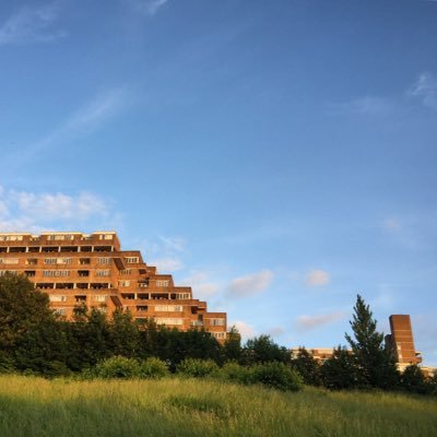 The view from this C20 estate in South London