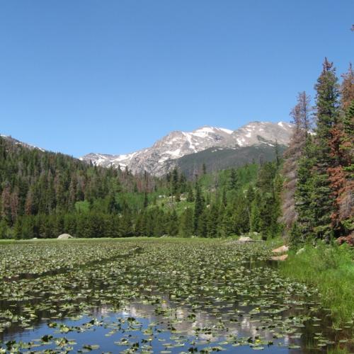 kharrell91's profile picture. Father of three with my wife who I love, Aggie, love the Rockies