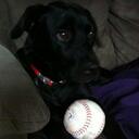 Ryan Colston - @coachcolstonSMI - Twitter