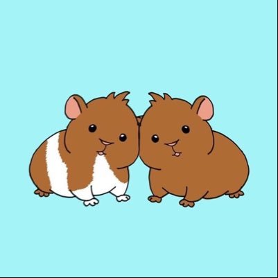 Hi! We are two guinea pigs cupcake and muffin. We love causing pigmom stress! Enjoy our pictures