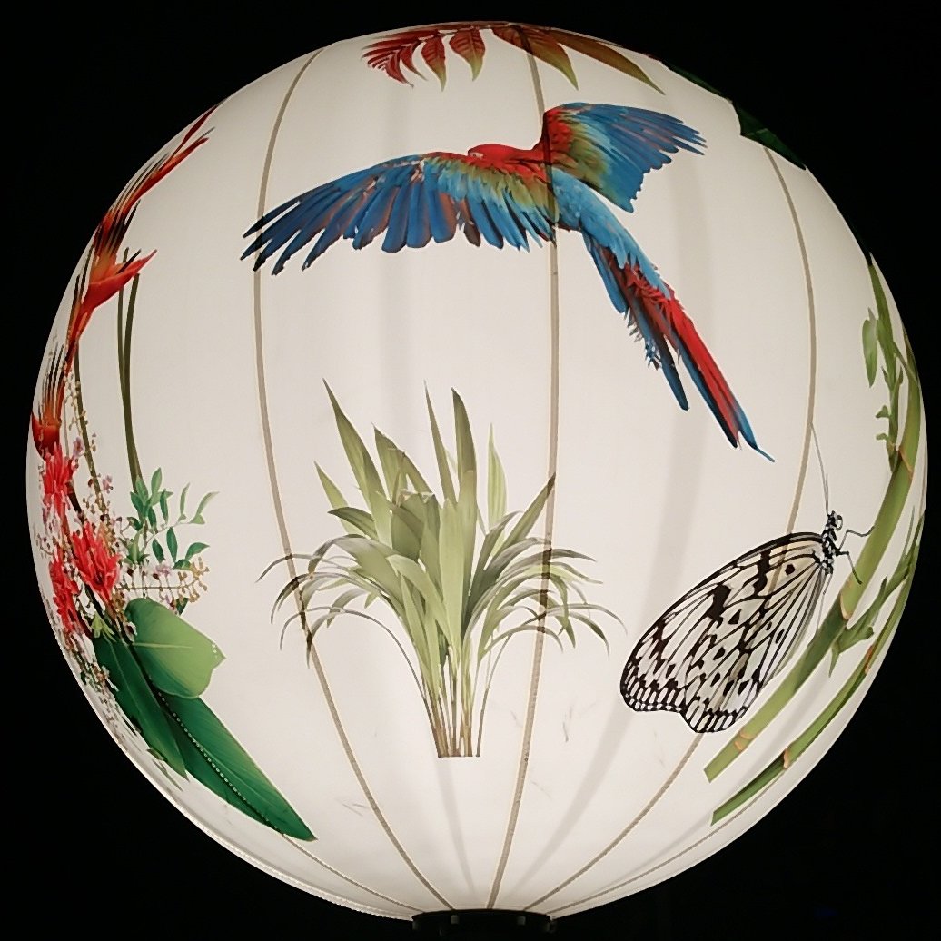 tminamihata's profile picture. 