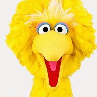 Big Bird(@BigBird) 's Twitter Profileg