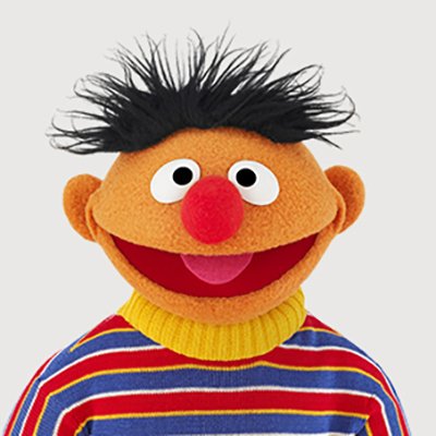 SesameErnie Profile Picture