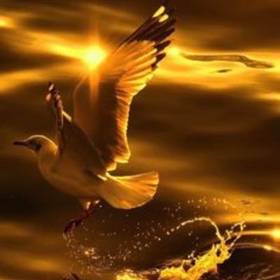 LubnaK786's profile picture. “Some dreams do come true”. Lyrics || Poetry ✍️🎶❤️