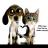 fundacionanimal's profile image