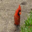 Nathan Block - @Moramik - Twitter