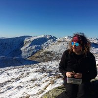Jack Hollins (@jpwhollins) 's Twitter Profile