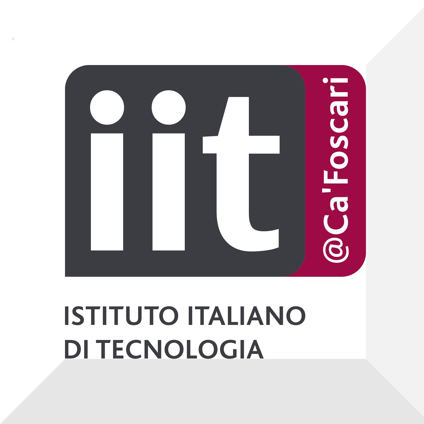 CCHT is the Istituto Italiano di Tecnologia @IITalk center that aims to research and promote new technologies for preservation and analysis of cultural heritage