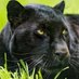 Amory Schools (@amoryschools) Twitter profile photo Amory Schools (@amoryschools) Twitter profile photo