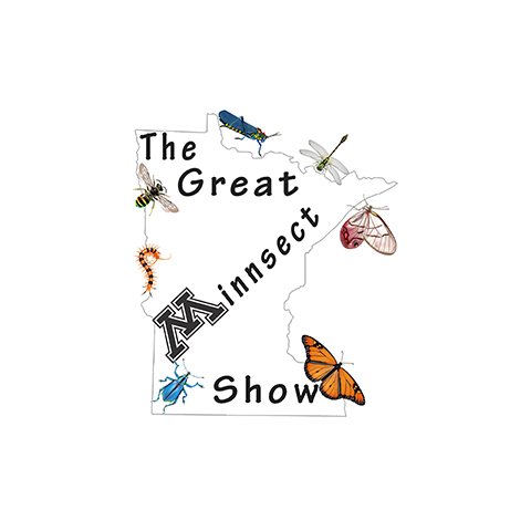 The Great #Minnsect Show is a new event for insect enthusiasts. Organized by @umn_frenatae and @UMN_Entomology at the University of Minnesota.