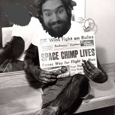 Literal Space Chimp.