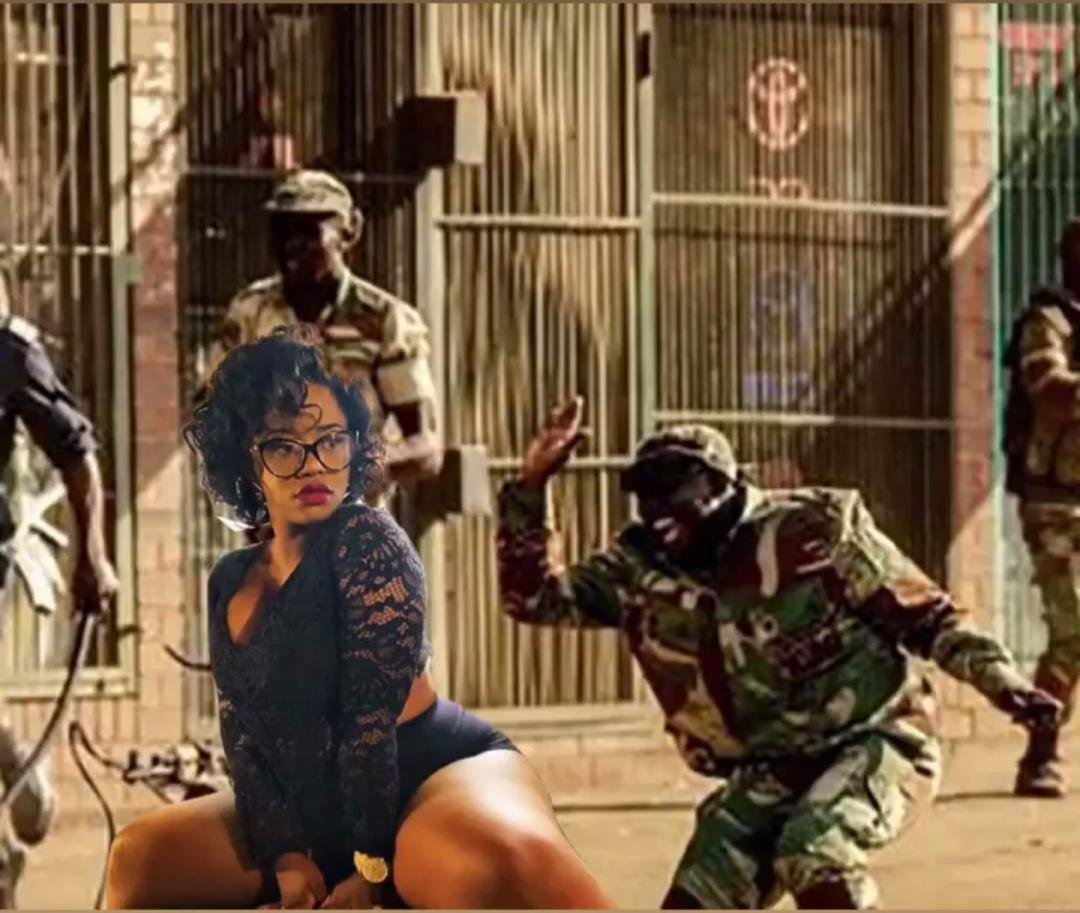 TIndoctrinated's profile picture. 