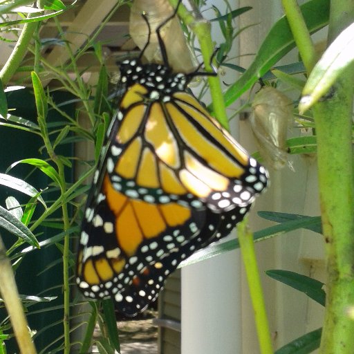 MeetingWaters's profile picture. Writes about fluid goings on. Never deny anyone the opportunity to learn.