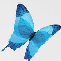 BestLifeRewarded (@blrewarded) 's Twitter Profile