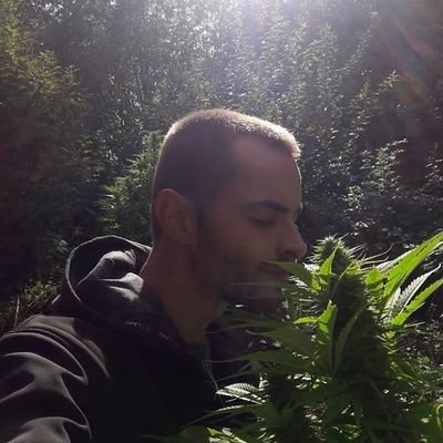 Gärtner Cannabis Aktivist 🇱🇹🍀🇩🇪
Love Peace & Cannabis
☘🍀🌻💥💨 žalia žolė bet ne žolė kas ir tas?
