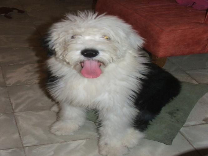 Gabriel Carranco Gar