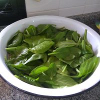 Yamila Sevilla (@brevescomofotos) 's Twitter Profile Photo