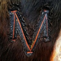 Dehesa Valhondillo (@valhondillo) 's Twitter Profile