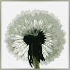 Groenbanen's profile picture. De gratis vacaturesite voor hoveniers (glas)tuinbouw, landbouw, groenvoorziening, fruitteelt en en alle andere groene banen.