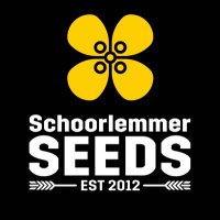 Schoorlemmer Seeds Ltd(@SchoorlemmerS) 's Twitter Profile Photo