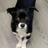 PEGGY (@sweetttreasures) 's Twitter Profile