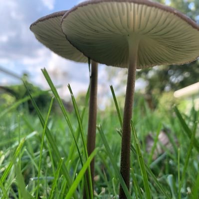 lowlyworm_'s profile picture. you serious Clark?