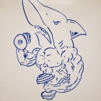 SharksStrength (@sharksstrength) 's Twitter Profile
