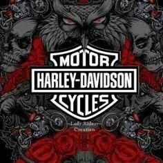 Escuchas unas Harley Davidson rugir y te desnucas por mirarla ?
... pues nosotros también !!
Síguenos