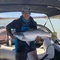 Stevo (@medders78) 's Twitter Profile