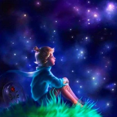 germanalfreedo's profile picture. 