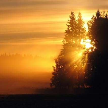 kensza46's profile picture. 