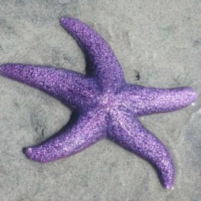 debbie_fisher13's profile picture. wife, mom of 4, grandma of 4, believer in Peace, Love, and Equality for ALL